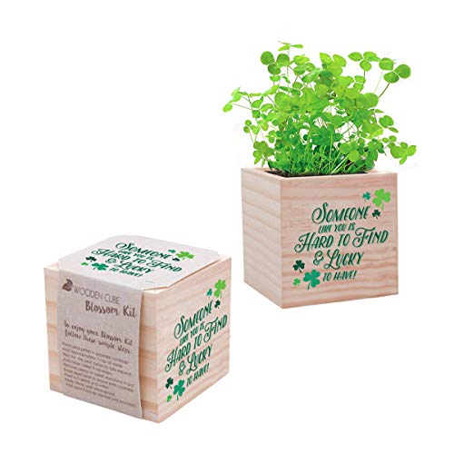 Cheersville! Plant Cube Appreciation Gift - Includes Clover Seed Packet, Peat Pellet, and 3-Inch Wooden Planter - St Patrick's Day Employee Teacher Nurse Thank You Gift