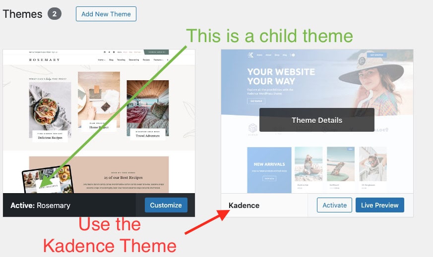 Choose the Kadence theme if you're a beginner blogger