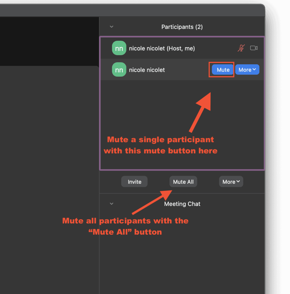 desktop screen shot of zoom meeting with arrow indicating how to mute participants