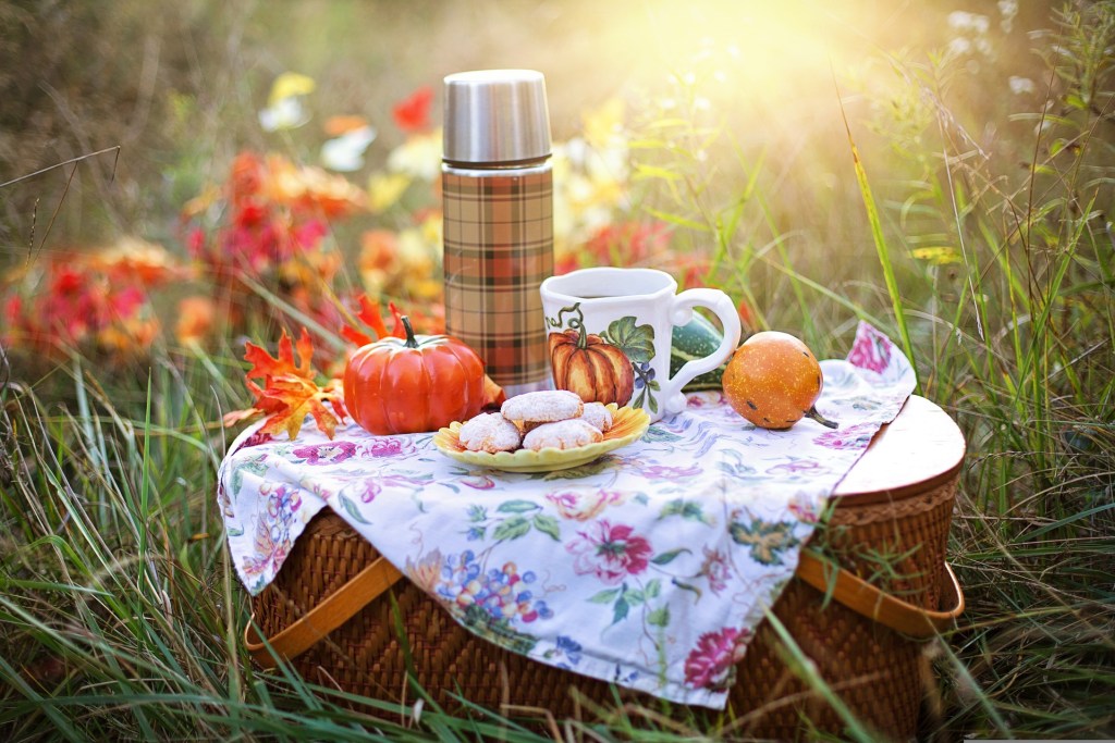 Here are 9 amazing fall date ideas that are easy on your wallet